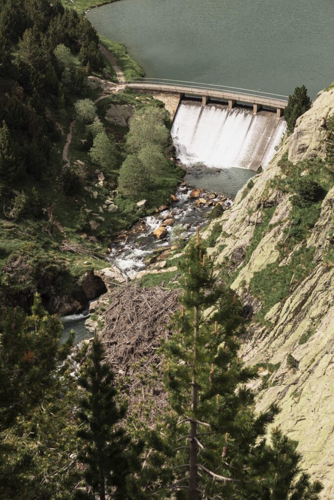 How Hydropower Impacts Ecosystems and Energy Future