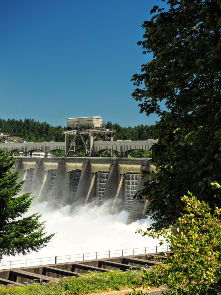 How Hydropower Impacts Ecosystems and Energy Future