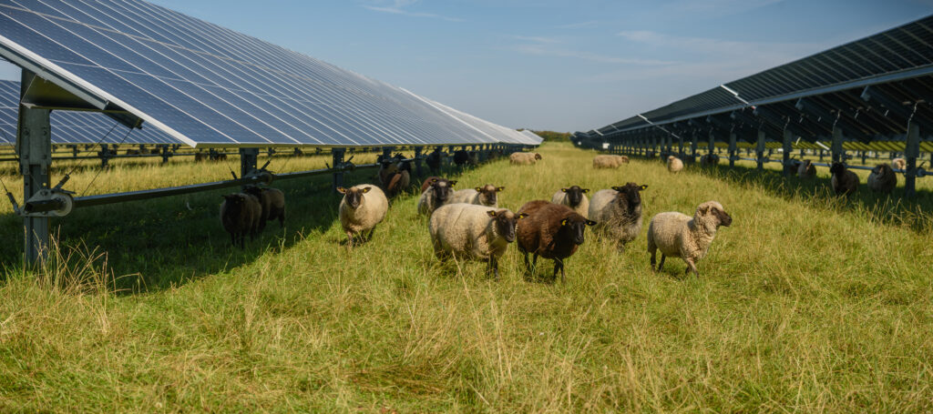 Solar Arrays