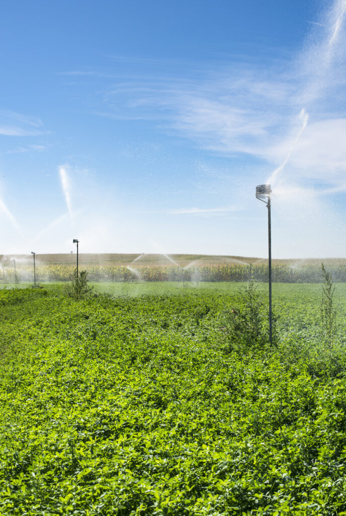 How Solar Energy Pumps are Empowering Sustainable Farms